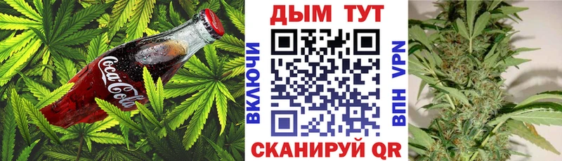 Canna-Cookies конопля  Ковдор 