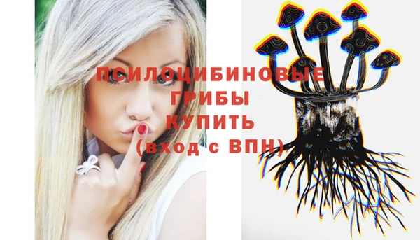 герыч Белокуриха